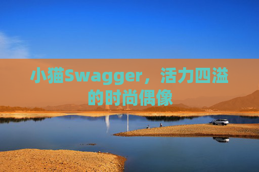小猫Swagger,活力四溢的时尚偶像 小猫Swagger,活力四溢的时尚偶像