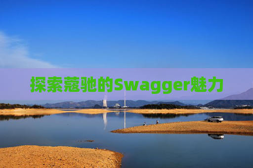 探索蔻驰的Swagger魅力