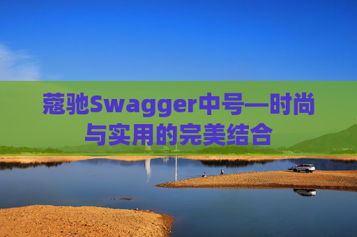 蔻驰Swagger中号—时尚与实用的完美结合
