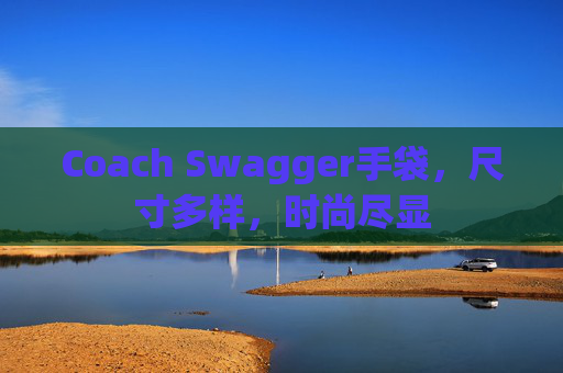 Coach Swagger手袋，尺寸多样，时尚尽显