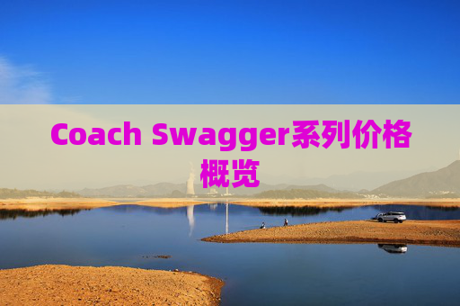 Coach Swagger系列价格概览