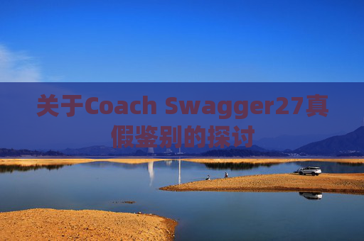 关于Coach Swagger27真假鉴别的探讨
