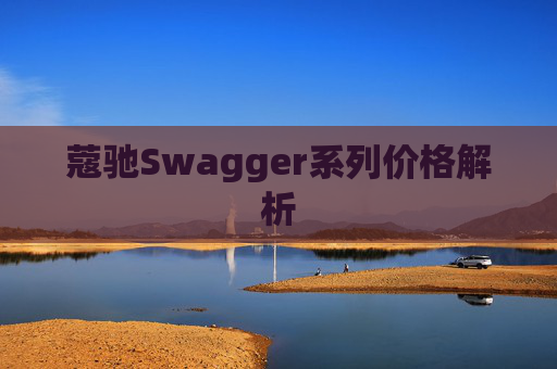 蔻驰Swagger系列价格解析